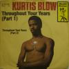 Kurtis Blow - Throughout Your Years (7")