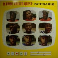 ATCQ Scenario (12")