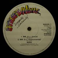 Wish - Mr. DJ (12")