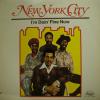 New York City - I'm Doin' Fine Now (LP)