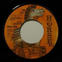 Danda Livingstone Big City (7")