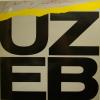 UZEB - Fast Emotion (LP)