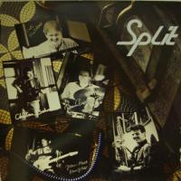 Split The Way You Groove (LP)