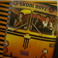 Skool Boyz Slip Away (LP)