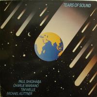 Tears Of Sound Quasi Raga (LP)