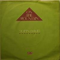 John David - On The Mountain (7")