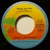 Toots & The Maytals - Reggae Got Soul (7")