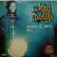 Jeru the Damaja - Wrath of the Math (LP)