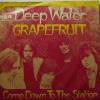 Grapefruit - Deep Water (7")