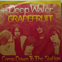 Grapefruit - Deep Water (7")