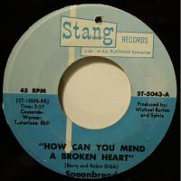 Spoonbread - How Can You Mend A Broken.. (7")