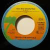  Toots & The Maytals - I Can See Clearly Now (7")