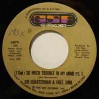 Joe Quarterman - So Much Trouble In... (7")