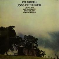 Joe Farrell - Molten Glass (LP)