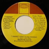Marvin Gaye - I Want You (7")