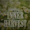 Pushkar - Inner Harvest (LP)