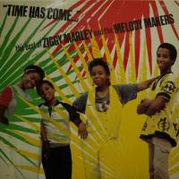 Ziggy Marley - Time Has Come (LP)
