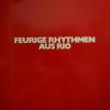 Nino De La Plata - Feurige Rhythmen Aus Rio (LP)