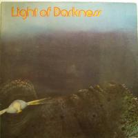 Light Of Darkness Down 'n' Out (LP)
