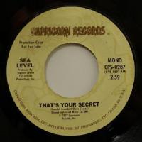 Sea Level - That\'s Your Secret (7")