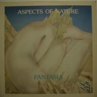 Wynard Ott Fantasia (LP)
