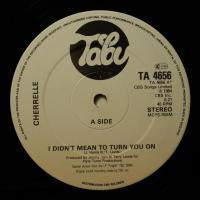 Cherrelle I Didn't Mean To Turn You On (12")