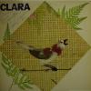 Clara Nunes - Clara (LP)