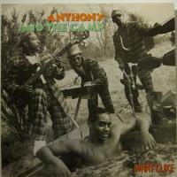 Anthony And The Camp - What I Like (7")