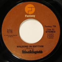 Blackbyrds - Walking In Rhythm (7")