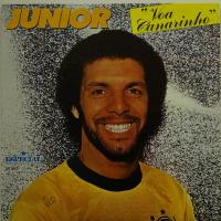 Junior Pagode Da Salacao (7")