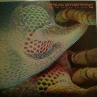 String Driven Thing The Machine That Cried (LP)