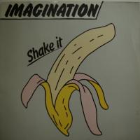 Imagination Mornin Lights (LP)