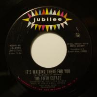 The Fifth Estate It's Waiting There For You (7")