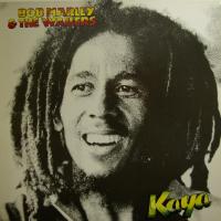 Bob Marley Sun Is Shining (LP)