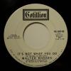 Walter Rhodes - It's Not What You Do (7")
