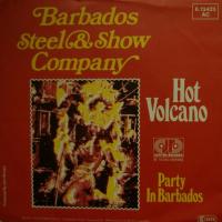 Barbados Steel And Show Company Party In Barbados 